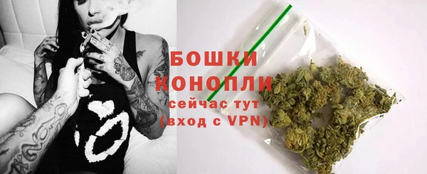 сатива Белоозёрский
