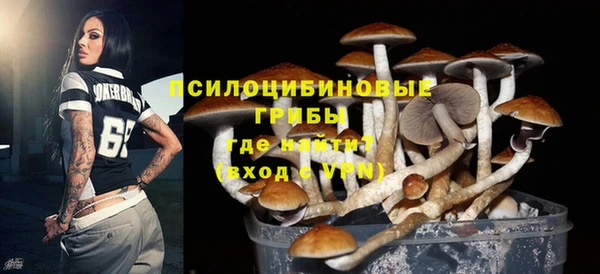 сатива Белоозёрский
