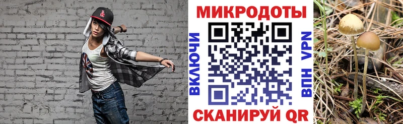 Псилоцибиновые грибы Cubensis  Власиха 